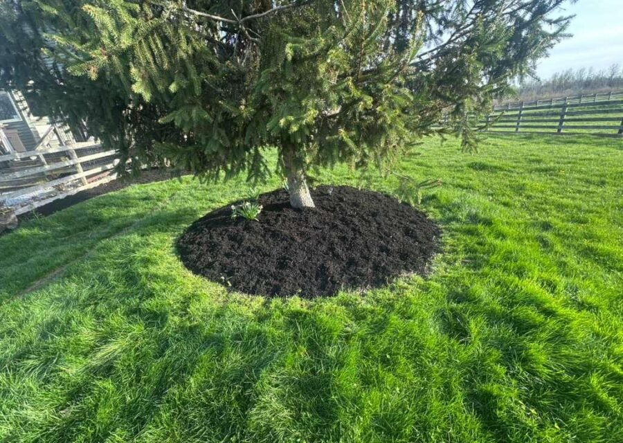 Completed landscaping project by KP Landscaping in Buffalo NY