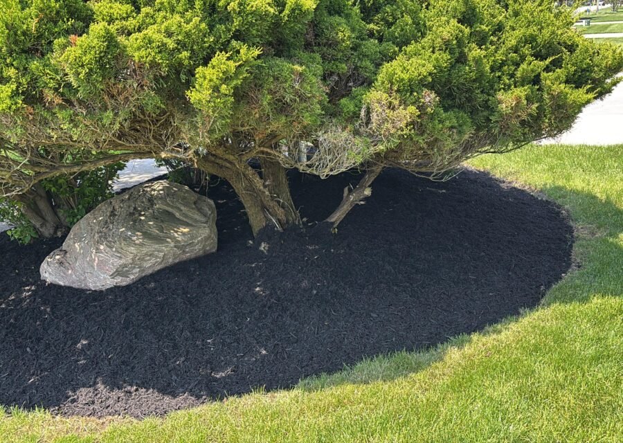 Completed landscaping project by KP Landscaping in Buffalo NY