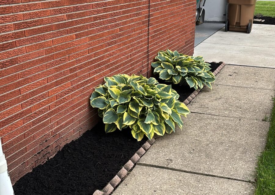 Completed landscaping project by KP Landscaping in Buffalo NY