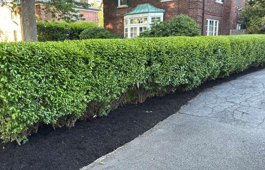 Completed landscaping project by KP Landscaping in Buffalo NY