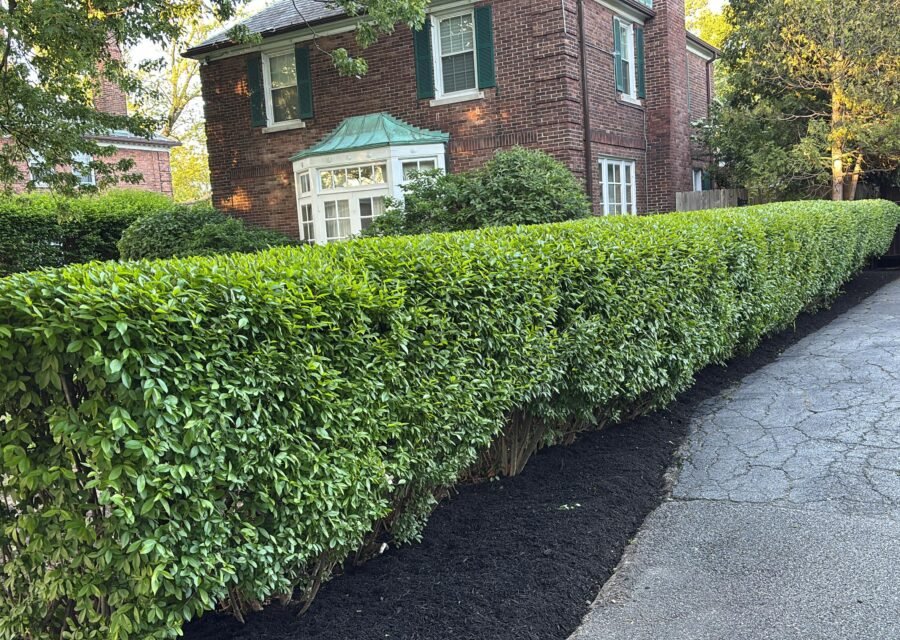 Completed landscaping project by KP Landscaping in Buffalo NY
