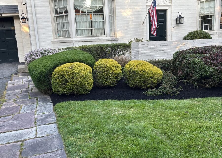 Completed landscaping project by KP Landscaping in Buffalo NY
