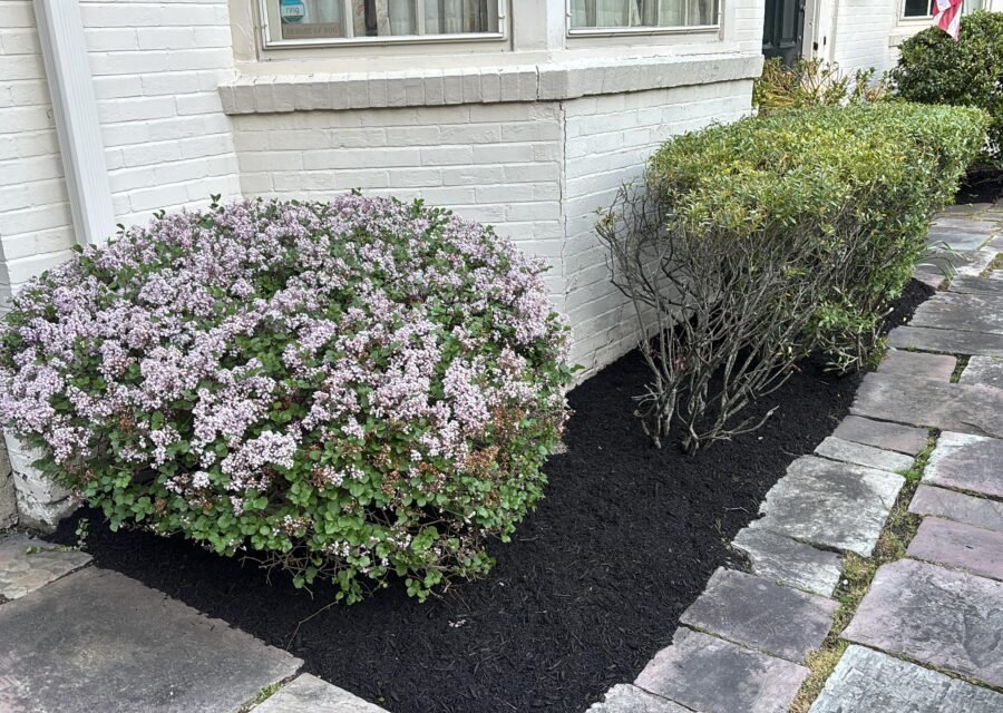 Completed landscaping project by KP Landscaping in Buffalo NY