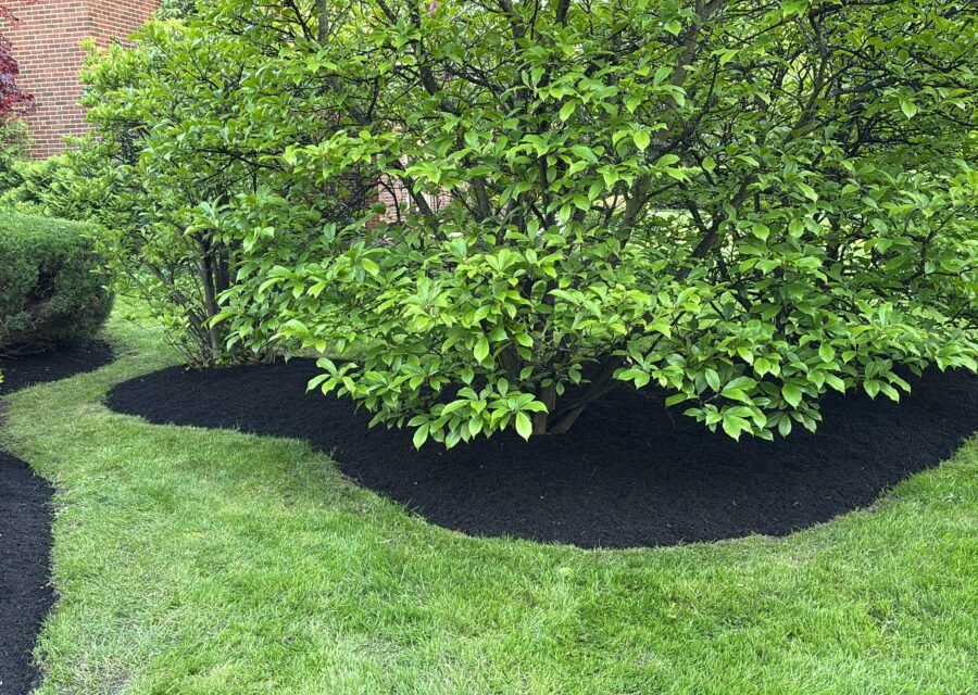 Completed landscaping project by KP Landscaping in Buffalo NY