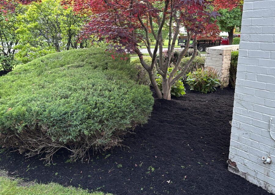 Completed landscaping project by KP Landscaping in Buffalo NY