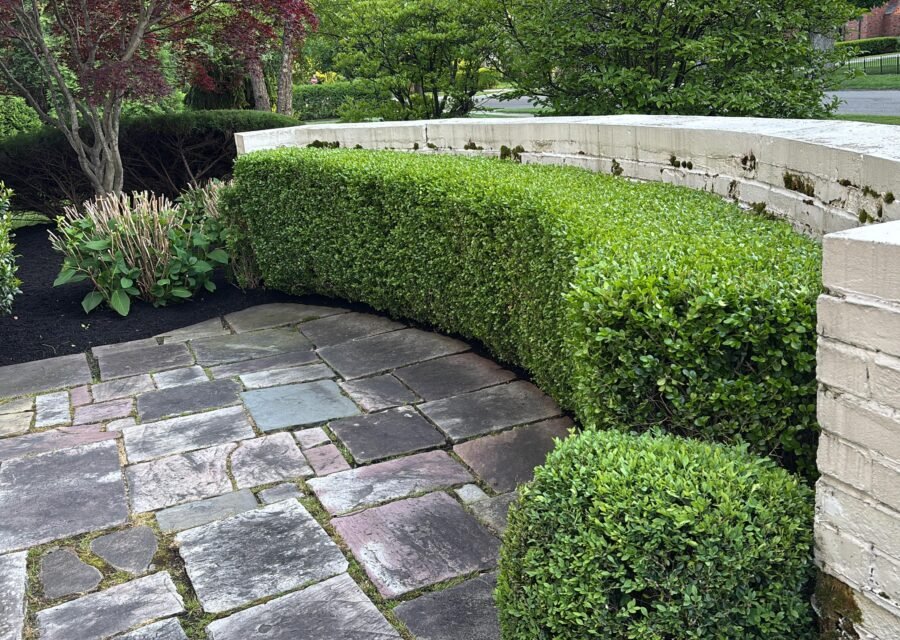 Completed landscaping project by KP Landscaping in Buffalo NY