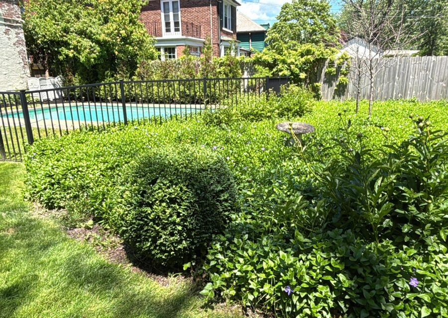 Completed landscaping project by KP Landscaping in Buffalo NY