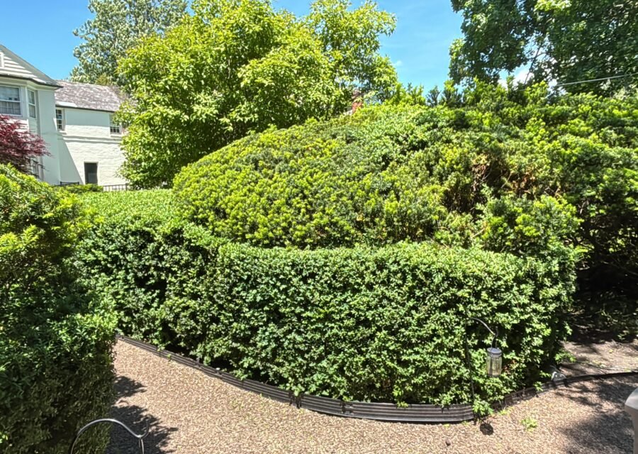 Completed landscaping project by KP Landscaping in Buffalo NY