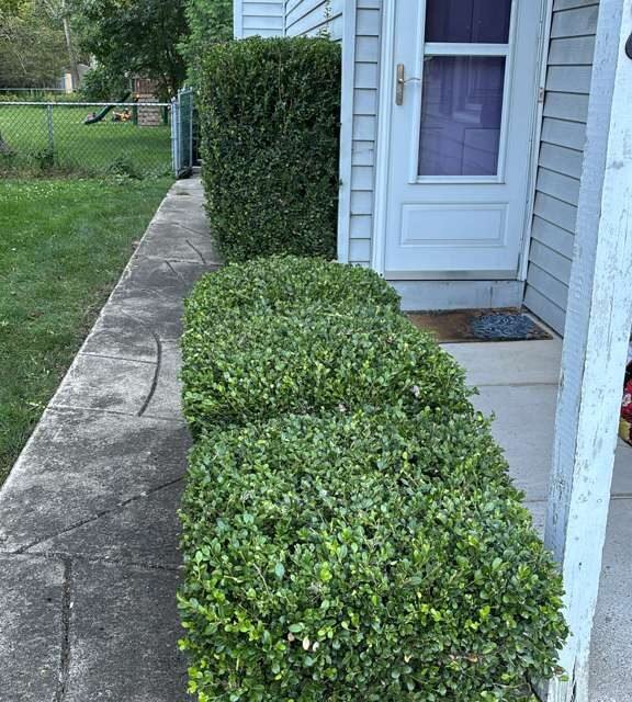 Completed landscaping project by KP Landscaping in Buffalo NY
