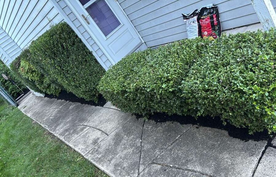 Completed landscaping project by KP Landscaping in Buffalo NY