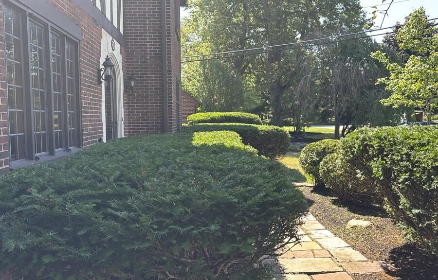 Completed landscaping project by KP Landscaping in Buffalo NY