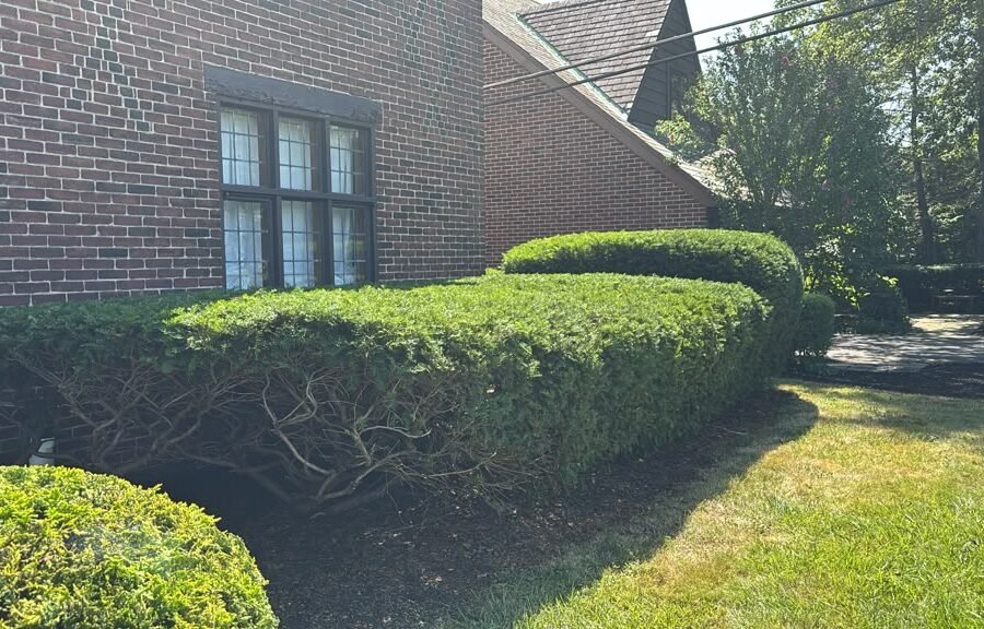 Completed landscaping project by KP Landscaping in Buffalo NY