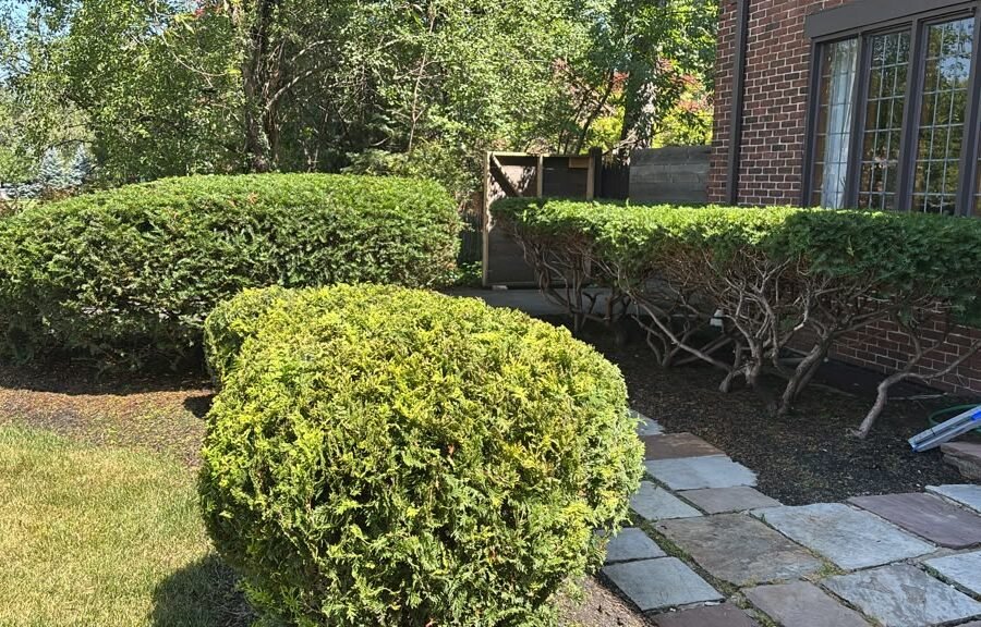 Completed landscaping project by KP Landscaping in Buffalo NY