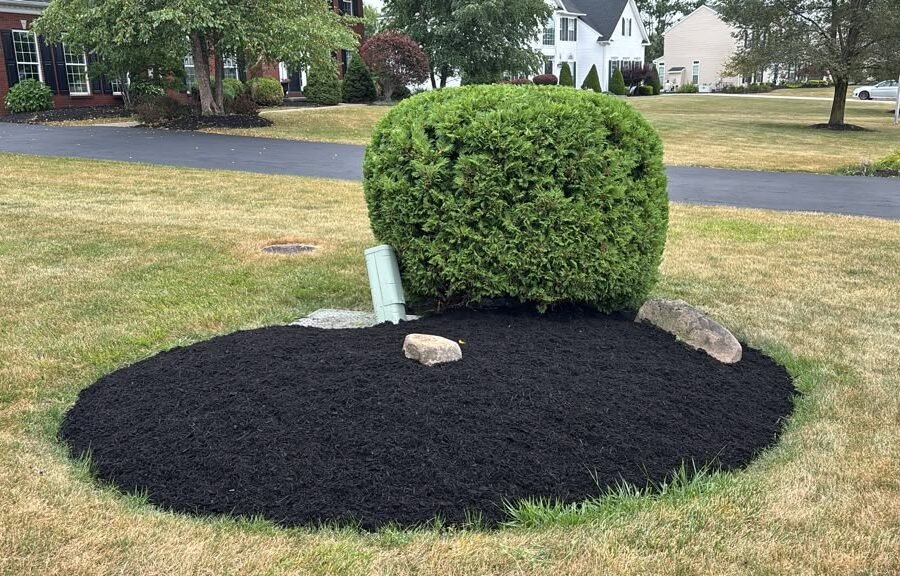 Completed landscaping project by KP Landscaping in Buffalo NY