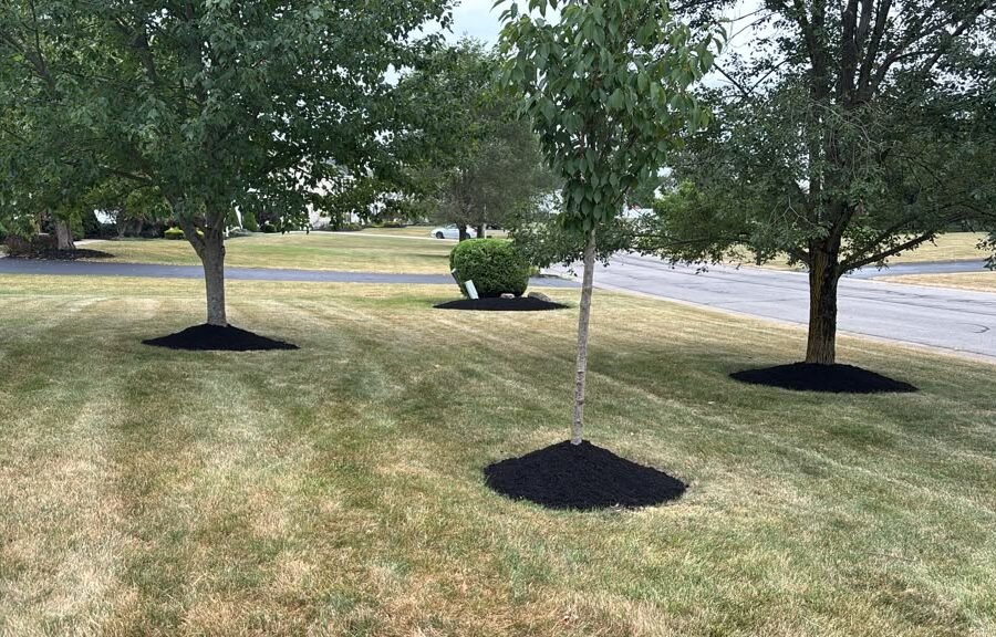 Completed landscaping project by KP Landscaping in Buffalo NY