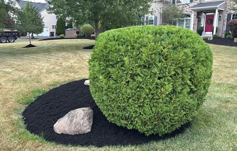 Completed landscaping project by KP Landscaping in Buffalo NY