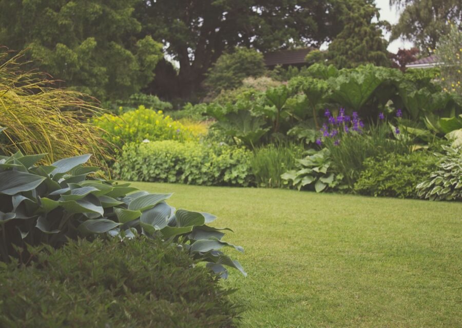 Lush finished landscape