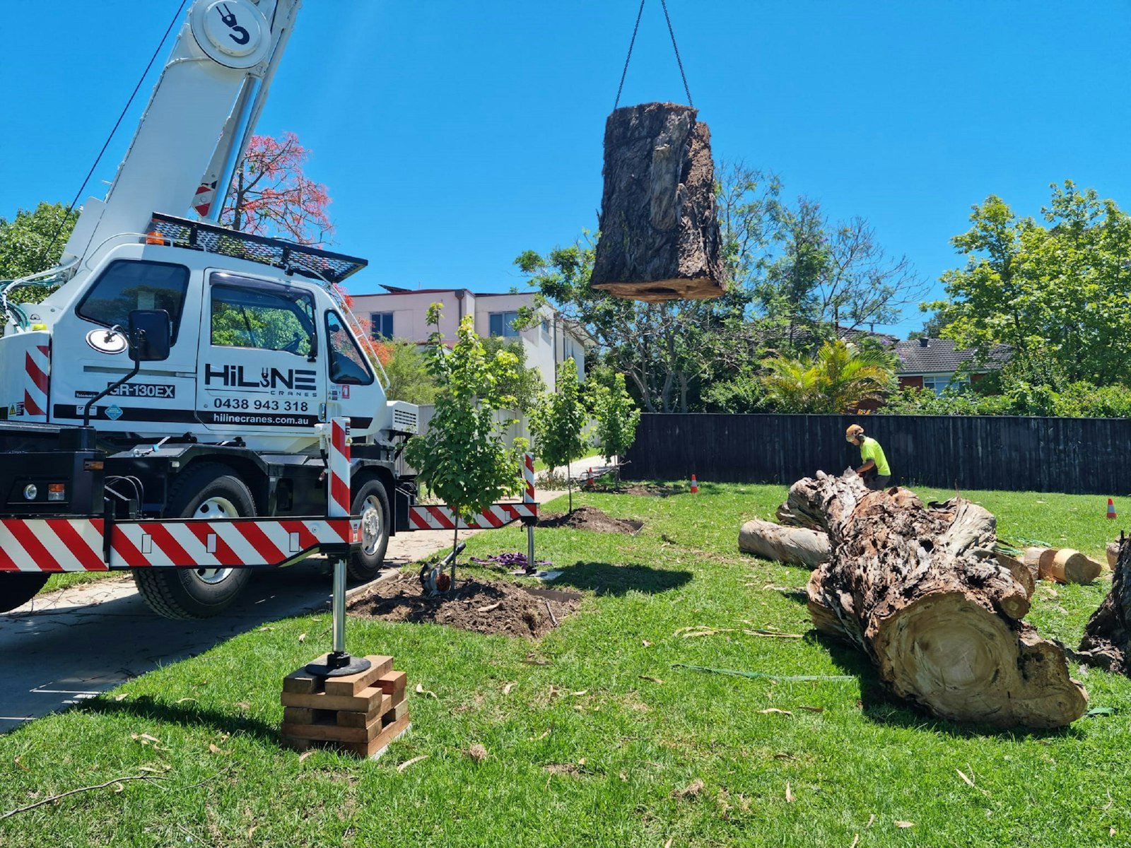 Crane assisted tree removal on a residential property by KP Landscaping in Buffalo NY